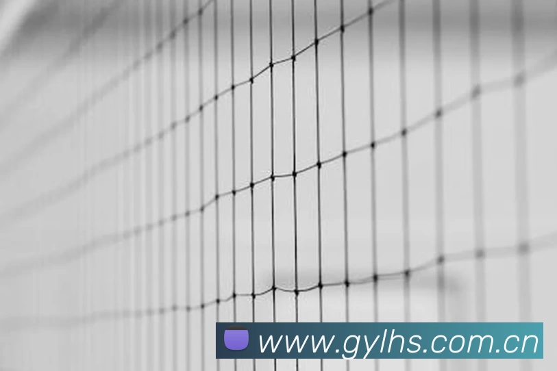 乐动官方注册 - 乐动(中国)平台生态图